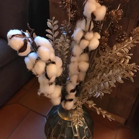 Casa vacanze Du Pommery, Hautes-vosges *