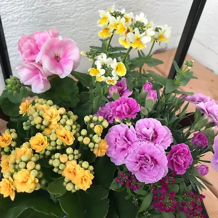 Nyaraló Du Pommery, Hautes-vosges Bussang